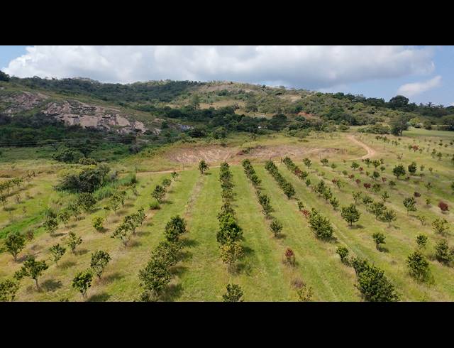 11HA FARM FOR SALE IN NELSPRUIT RURAL